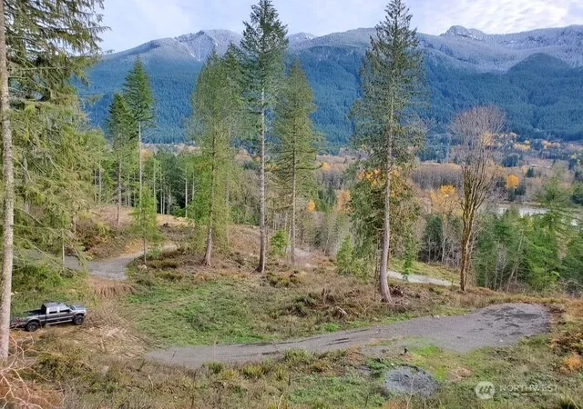 Photo 4 of Land for sale at 189 Carr Rd, White Pass, WA 98937 | MLS# NWM2556798 | Listing updated on 2026-09-22