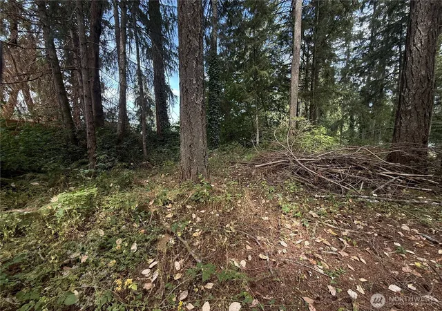 Photo 3 of Sale Pending at 19421 24th Street SW, Lakebay, WA 98349 | MLS# NWM2556800 | Listing updated on 2026-09-30