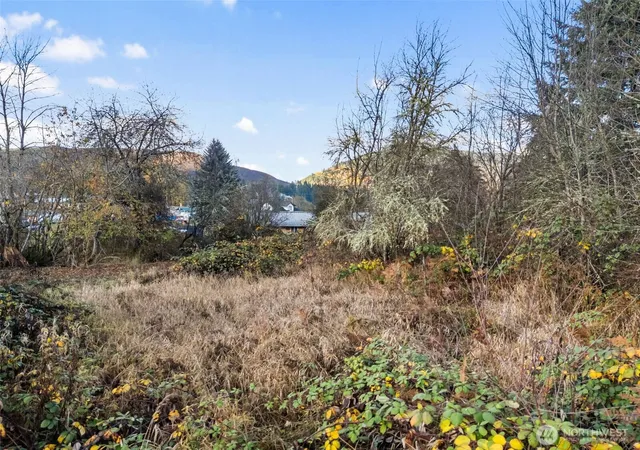 Photo 3 of Land for sale at 1 Roosevelt St, Mineral, WA 98355 | MLS# NWM2556874 | Listing updated on 2026-09-30