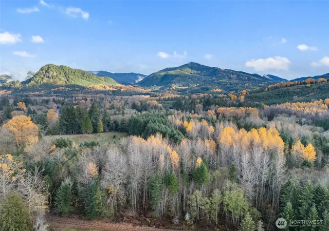 Photo 4 of Land for sale at 1 Roosevelt St, Mineral, WA 98355 | MLS# NWM2556874 | Listing updated on 2026-09-30