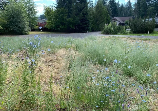 Photo 1 of Land for sale at 7 Lot Kuhuku Ct, Cle Elum, WA 98922 | MLS# NWM2556917 | Listing updated on 2026-09-22
