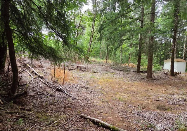 Photo 2 of Land for sale at 21024 Zenkner Valley Rd Sw, Centralia, WA 98531 | MLS# NWM2557011 | Listing updated on 2026-09-22