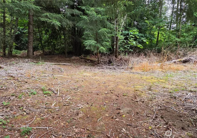 Photo 3 of Land for sale at 21024 Zenkner Valley Rd Sw, Centralia, WA 98531 | MLS# NWM2557011 | Listing updated on 2026-09-22