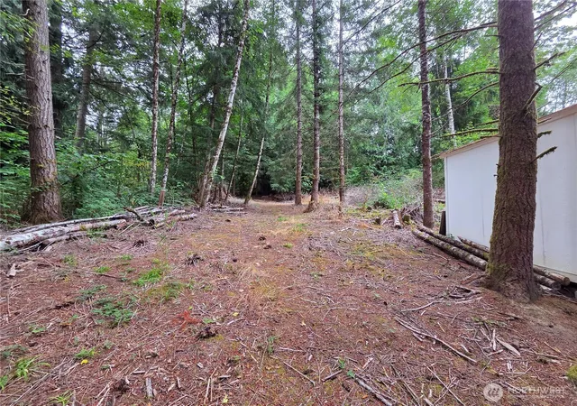 Photo 3 of Land for sale at 21024 Zenkner Valley Rd SW, Centralia, WA 98531 | MLS# NWM2557011 | Listing updated on 2026-09-22