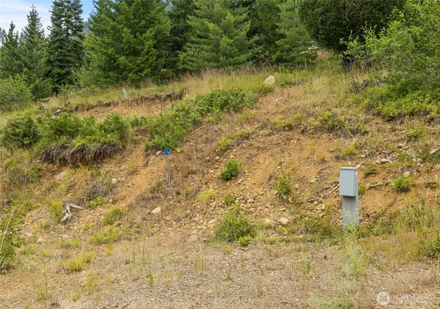 Photo 3 of Land for sale at 611 Anna Bell Dr, Ronald, WA 98940 | MLS# NWM2557175 | Listing updated on 2026-09-22