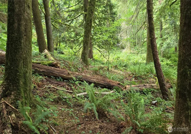 Photo 2 of Land for sale at 33317 Se Kent Kangley Rd, Ravensdale, WA 98051 | MLS# NWM2557317 | Listing updated on 2026-09-23