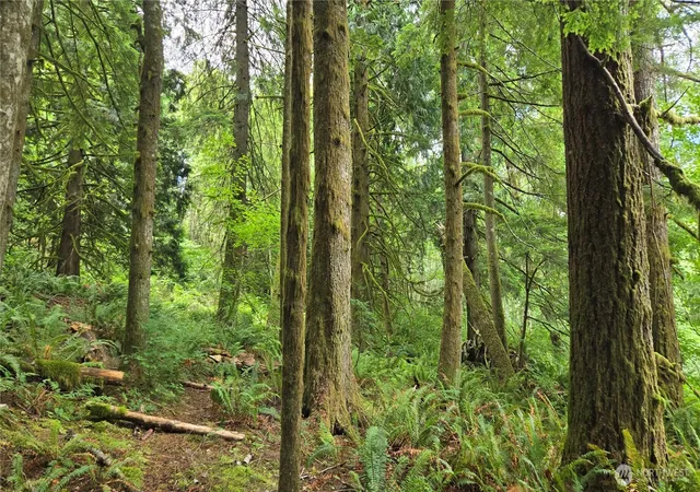 Photo 3 of Land for sale at 33317 Se Kent Kangley Rd, Ravensdale, WA 98051 | MLS# NWM2557317 | Listing updated on 2026-09-23