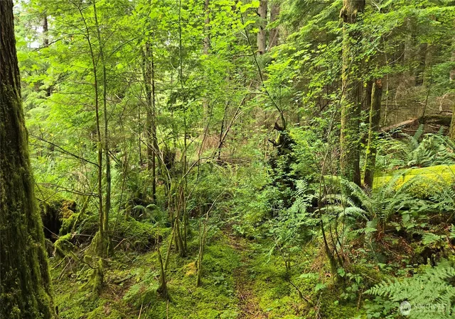 Photo 3 of Land for sale at 33317 SE Kent Kangley Rd, Ravensdale, WA 98051 | MLS# NWM2557317 | Listing updated on 2026-09-23