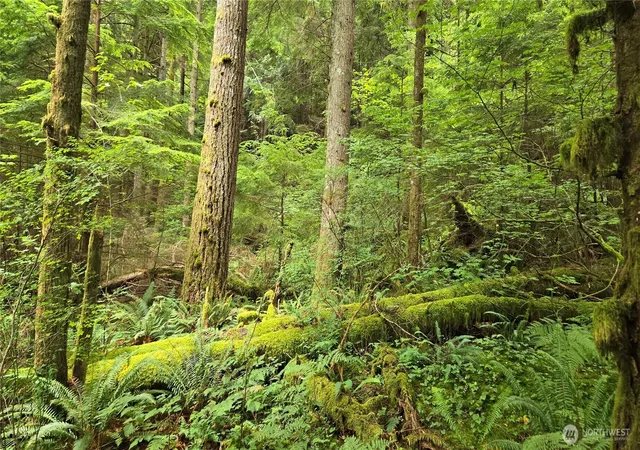 Photo 4 of Land for sale at 33317 SE Kent Kangley Rd, Ravensdale, WA 98051 | MLS# NWM2557317 | Listing updated on 2026-09-23