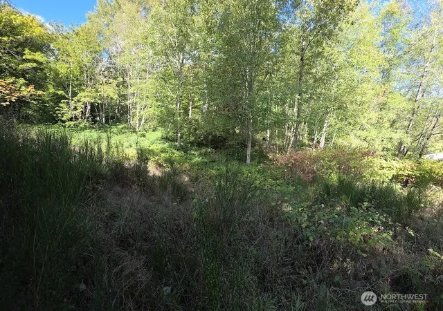 Photo 4 of Land for sale at 7002 Ocean Beach Hwy, Longview, WA 98632 | MLS# NWM2557468 | Listing updated on 2026-09-23