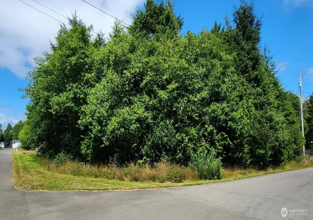 Photo 2 of Land for sale at 31 & 33 Paradise Ln, Pacific Beach, WA 98571 | MLS# NWM2557492 | Listing updated on 2026-09-23