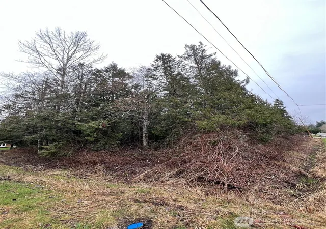 Photo 3 of Land for sale at 0 Lot 6 Rex St, Point Roberts, WA 98281 | MLS# NWM2557547 | Listing updated on 2026-09-23
