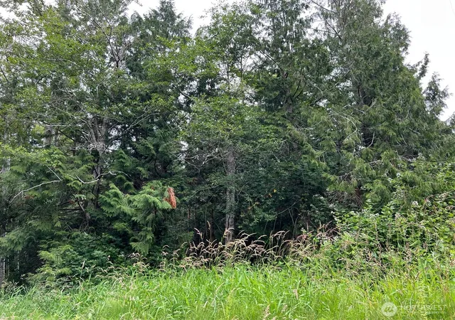 Photo 1 of Land for sale at 0 Lot 7 Rex St, Point Roberts, WA 98281 | MLS# NWM2557560 | Listing updated on 2026-09-23