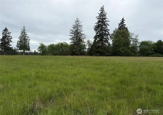 Photo 2 of Land for sale at 28915 3rd Avenue Ne, Stanwood, WA 98292 | MLS# NWM2557592 | Listing updated on 2026-09-23