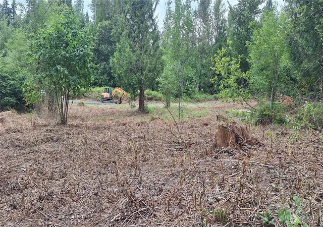 Photo 1 of Land for sale at 165 Beauvias Rd, Kelso, WA 98626 | MLS# NWM2557787 | Listing updated on 2026-09-26