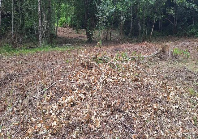 Photo 2 of Land for sale at 165 Beauvias Rd, Kelso, WA 98626 | MLS# NWM2557787 | Listing updated on 2026-09-26