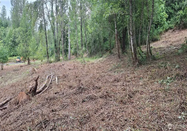 Photo 3 of Land for sale at 165 Beauvias Rd, Kelso, WA 98626 | MLS# NWM2557787 | Listing updated on 2026-09-26