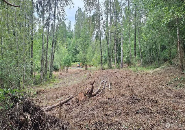 Photo 3 of Land for sale at 165 Beauvias Rd, Kelso, WA 98626 | MLS# NWM2557787 | Listing updated on 2026-09-26