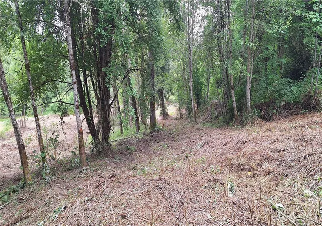 Photo 4 of Land for sale at 165 Beauvias Rd, Kelso, WA 98626 | MLS# NWM2557787 | Listing updated on 2026-09-26