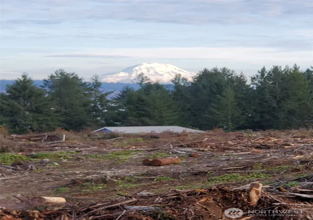 Photo 3 of Land for sale at 0 E Case View Way, Shelton, WA 98584 | MLS# NWM2557797 | Listing updated on 2026-09-23