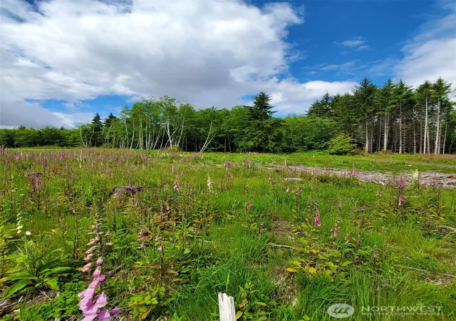 Photo 3 of Land for sale at 0 E Case View Way, Shelton, WA 98584 | MLS# NWM2557797 | Listing updated on 2026-09-23