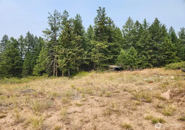 Photo 1 of Land for sale at 250 Union Ridge Rd, Republic, WA 99166 | MLS# NWM2557882 | Listing updated on 2026-09-25