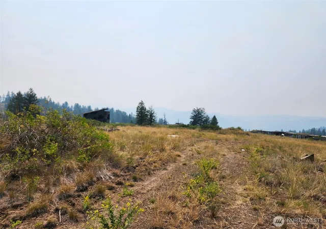 Photo 3 of Land for sale at 250 Union Ridge Rd, Republic, WA 99166 | MLS# NWM2557882 | Listing updated on 2026-09-25