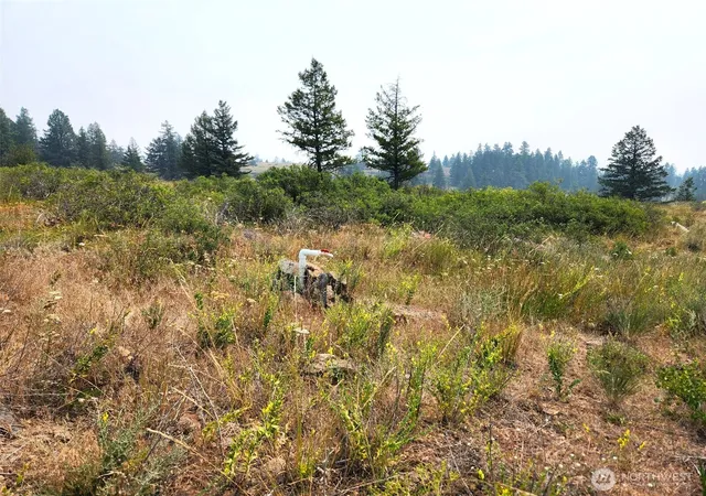Photo 4 of Land for sale at 250 Union Ridge Rd, Republic, WA 99166 | MLS# NWM2557882 | Listing updated on 2026-09-25