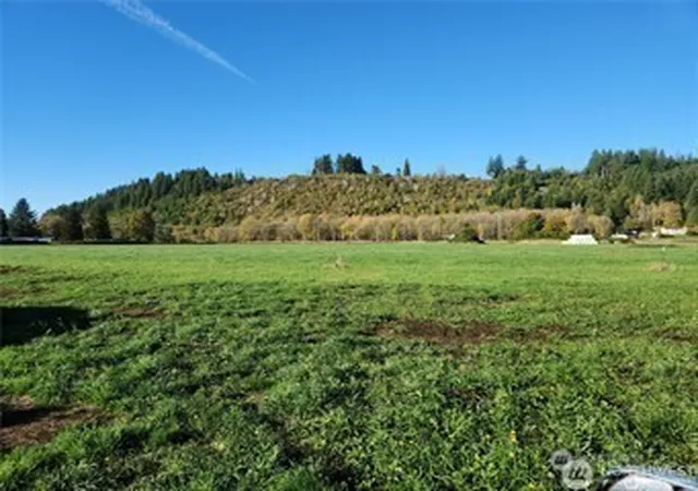 Photo 1 of Land for sale at 222 W Mossyrock, Mossyrock, WA 98564 | MLS# NWM2557926 | Listing updated on 2026-09-23