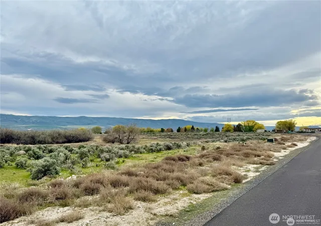 Photo 3 of Land for sale at 6 Rd 136 Sw, Royal City, WA 99357 | MLS# NWM2557952 | Listing updated on 2026-09-23