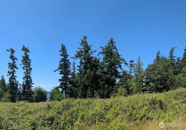 Photo 3 of Sale Pending at 4343 S (appx) Camano Dr, Camano Island, WA 98282 | MLS# NWM2557997 | Listing updated on 2026-09-25