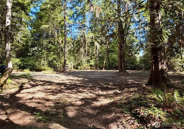 Photo 1 of Land for sale at 0 E Lot 2 Emily Ln, Shelton, WA 98584 | MLS# NWM2558017 | Listing updated on 2026-09-23