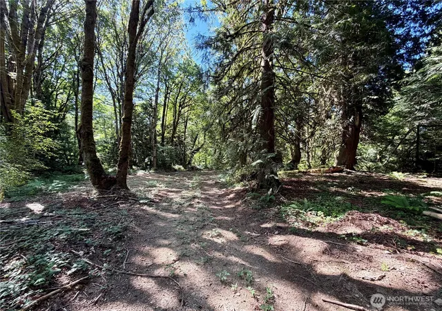 Photo 4 of Land for sale at 0 E Lot 2 Emily Ln, Shelton, WA 98584 | MLS# NWM2558017 | Listing updated on 2026-09-23