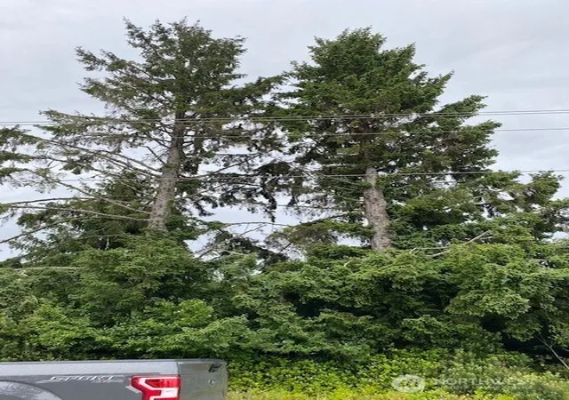 Photo 4 of Land for sale at 782 Point Brown Ave SE, Ocean Shores, WA 98569 | MLS# NWM2558027 | Listing updated on 2026-09-23