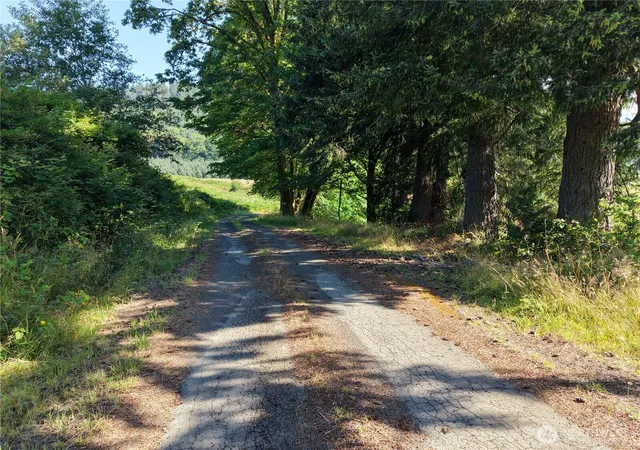 Photo 4 of Land for sale at 134 Dancing Elk Rd, Beaver, WA 98305 | MLS# NWM2558167 | Listing updated on 2026-09-23