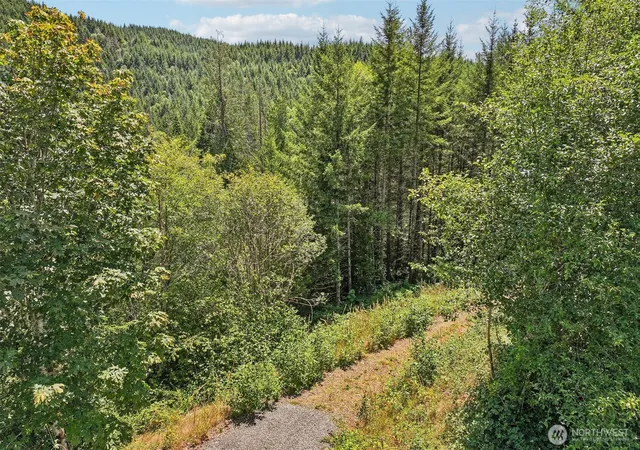 Photo 1 of Land for sale at 172 Mohawk Ln, Amboy, WA 98601 | MLS# NWM2558200 | Listing updated on 2026-09-23