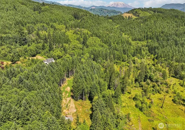 Photo 4 of Land for sale at 172 Mohawk Ln, Amboy, WA 98601 | MLS# NWM2558200 | Listing updated on 2026-09-23