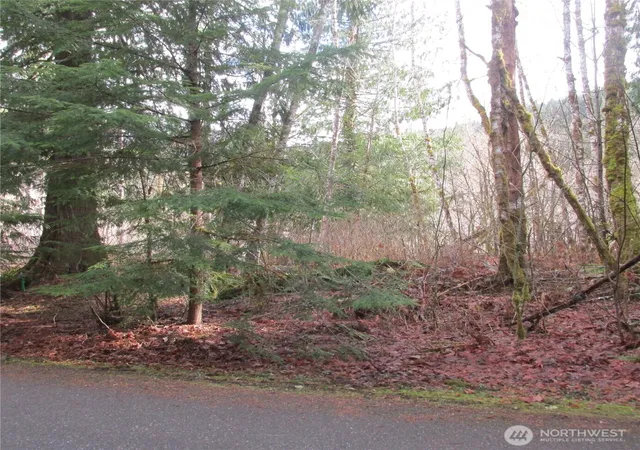 Photo 2 of Land for sale at 10337 Glacier Rim Dr, Deming, WA 98244 | MLS# NWM2558220 | Listing updated on 2026-09-23