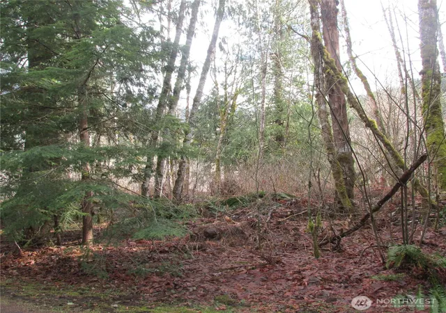 Photo 3 of Land for sale at 10337 Glacier Rim Dr, Deming, WA 98244 | MLS# NWM2558220 | Listing updated on 2026-09-23