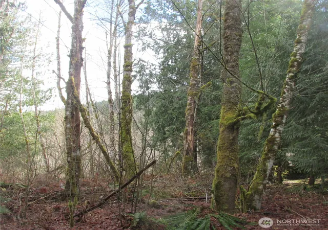 Photo 3 of Land for sale at 10337 Glacier Rim Dr, Deming, WA 98244 | MLS# NWM2558220 | Listing updated on 2026-09-23
