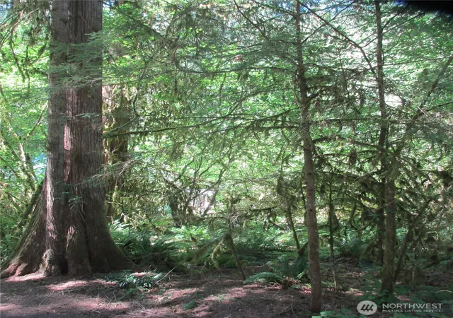 Photo 4 of Land for sale at 10337 Glacier Rim Dr, Deming, WA 98244 | MLS# NWM2558220 | Listing updated on 2026-09-23