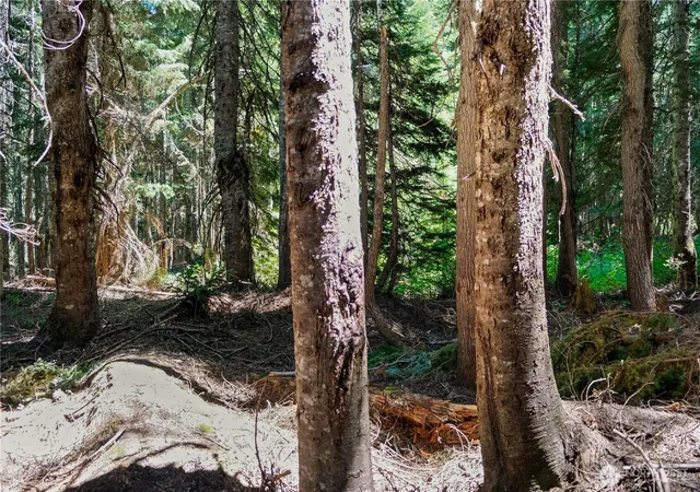 Photo 4 of Sale Pending at 34033 Stevens Rd, Leavenworth, WA 98826 | MLS# NWM2558236 | Listing updated on 2026-09-24