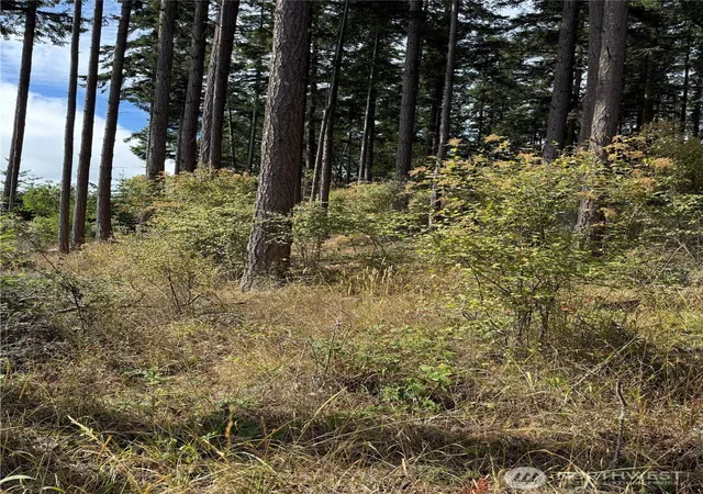 Photo 1 of Land for sale at 999 Erin St, Port Townsend, WA 98368 | MLS# NWM2558796 | Listing updated on 2026-09-23