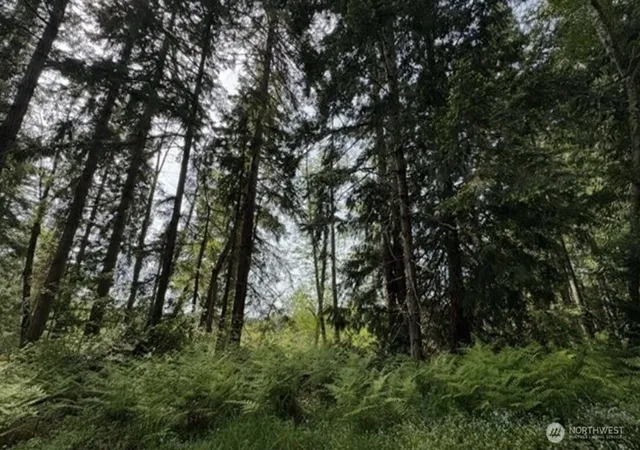 Photo 1 of Land for sale at 11106 Spruce Dr, Anderson Island, WA 98303 | MLS# NWM2559183 | Listing updated on 2026-10-01