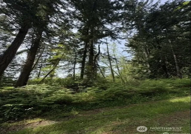 Photo 2 of Land for sale at 11106 Spruce Dr, Anderson Island, WA 98303 | MLS# NWM2559183 | Listing updated on 2026-10-01