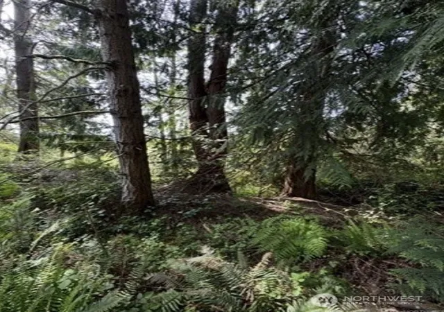 Photo 3 of Land for sale at 11106 Spruce Dr, Anderson Island, WA 98303 | MLS# NWM2559183 | Listing updated on 2026-10-01