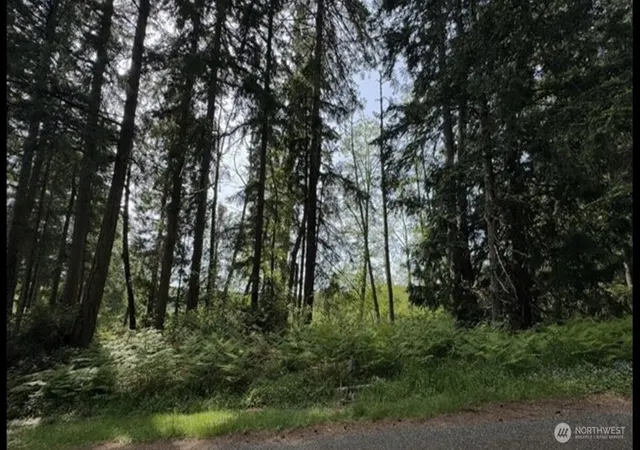 Photo 3 of Land for sale at 11106 Spruce Dr, Anderson Island, WA 98303 | MLS# NWM2559183 | Listing updated on 2026-10-01