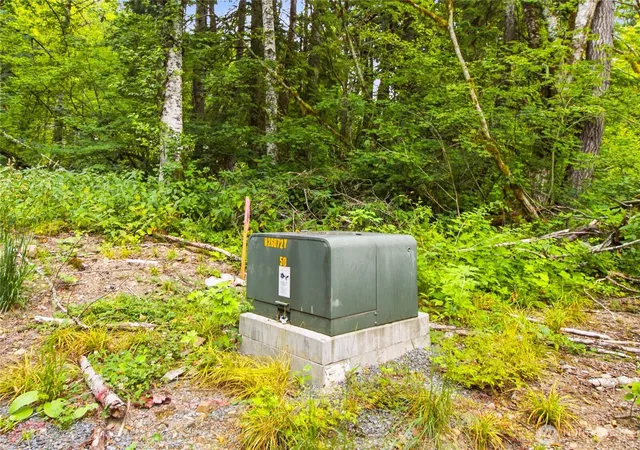 Photo 3 of Sale Pending at 31418 Mount Tahoma Cyn Rd E, Ashford, WA 98304 | MLS# NWM2559264 | Listing updated on 2026-09-07