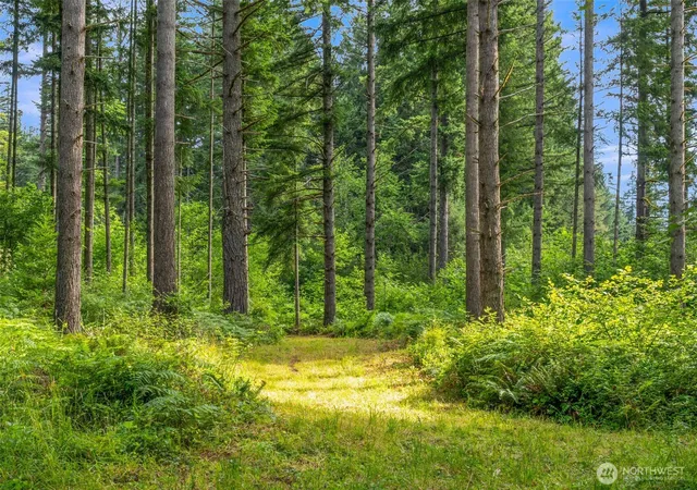 Photo 2 of Land for sale at 3832 Ne Cavitt Rd, Camas, WA 98607 | MLS# NWM2559353 | Listing updated on 2026-09-23