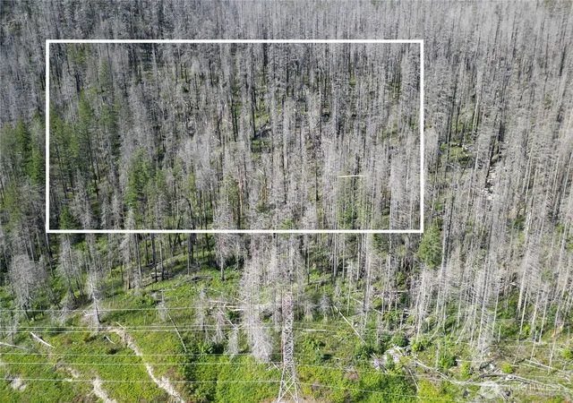 Photo 2 of Land for sale at 0 Xx Skykomish Woods, Skykomish, WA 98288 | MLS# NWM2559415 | Listing updated on 2026-09-23